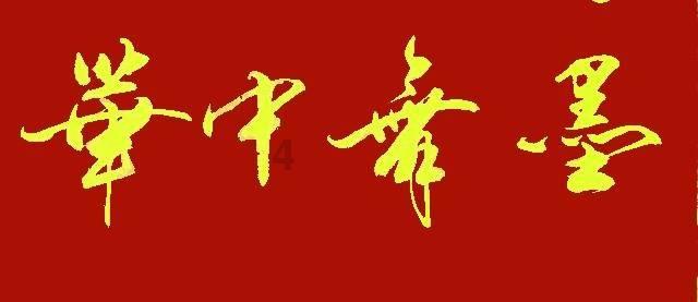 救援受困的小野猫